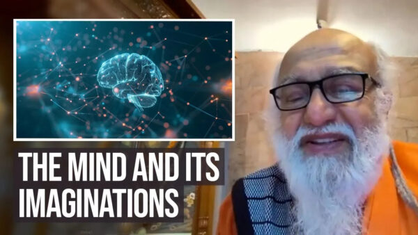 Consciousness and the Mind's Imagination