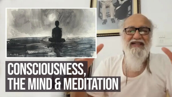 Consciousness, the MInd and Meditation